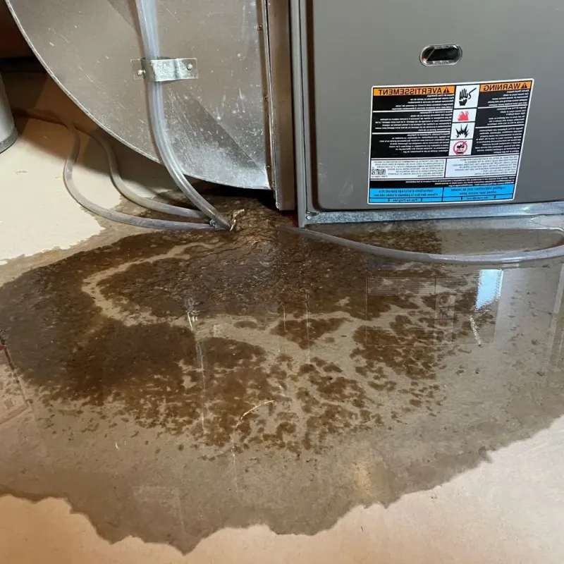 Pipe Burst and Leak Restoration in San Rafael, CA